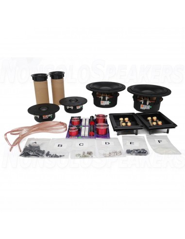 HiVi Swans DIY2.2-A DIY speaker kit pair