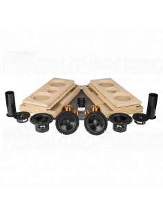 TriTrix MTM Speaker Components And Cabinet Kit | Pair 2