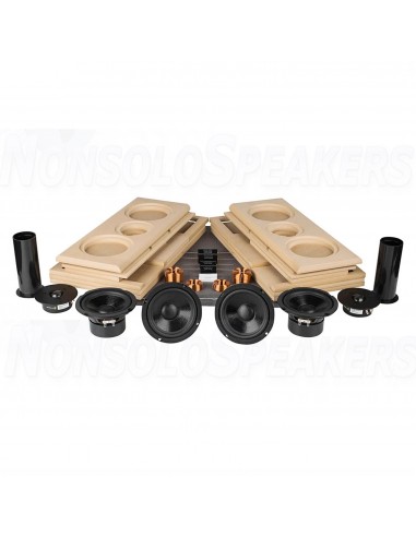 TriTrix MTM Speaker Components And Cabinet Kit | Pair