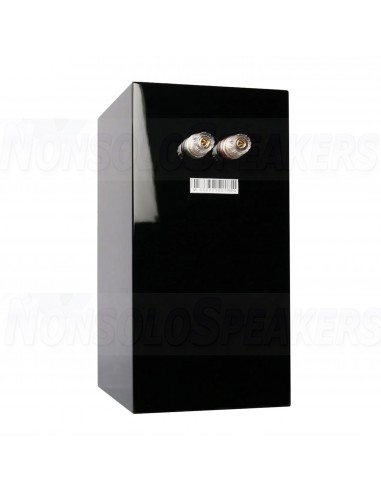 SB Acoustics MICRO-C Black High-Gloss Complete Speaker Kit
