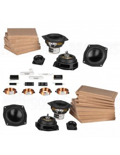 Passive Aggressive Mini Speaker Kit 2