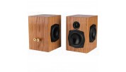 Passive Aggressive Mini Speaker Kit