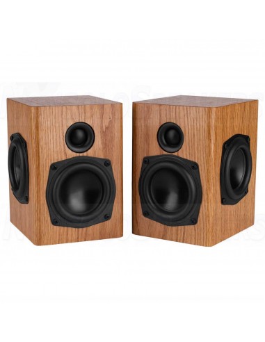 Passive Aggressive Mini Speaker Kit