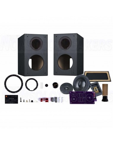 HiVi Swans DIY2.2-A Black DIY speaker kit pair