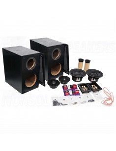 HiVi Swans DIY2.2-A Black DIY speaker kit pair 2