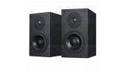 HiVi Swans DIY2.2-A Black DIY speaker kit pair