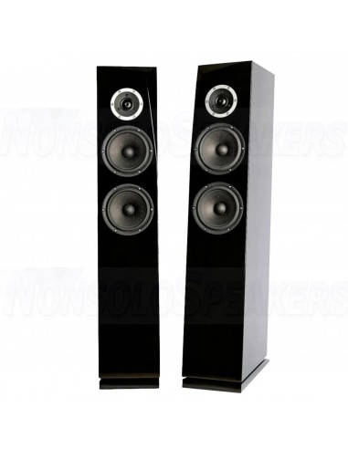 SB Acoustics RINJANI Black High-Gloss Complete Speaker Kit