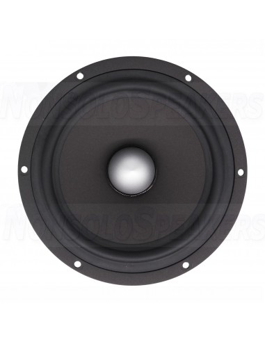 SEAS Excel W18NX001 - E0042-08S woofer 6"