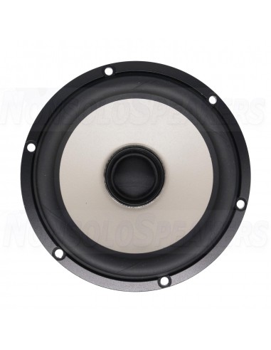 SEAS Excel C16N001/F - E0051-04/06-6 5" Magnesium Cone Coaxial Woofer