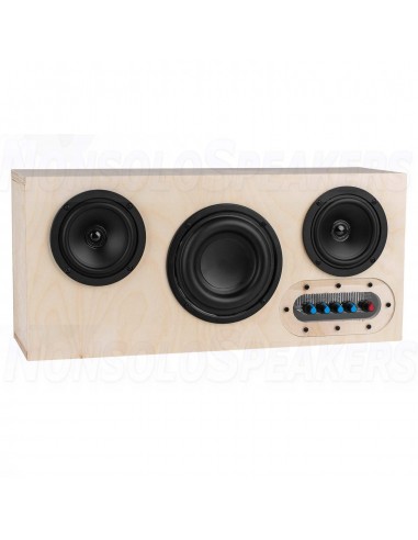 Executive 200 Watt Portable Bluetooth Speaker Kit