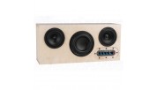 Executive 200 Watt Portable Bluetooth Speaker Kit