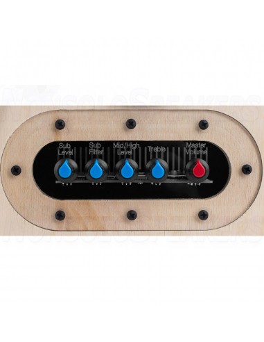 Executive 200 Watt Portable Bluetooth Speaker Kit