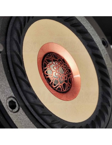 Tang band W4-2315  Coaxial 4" TB bamboo 4 ohm