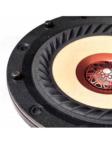 Tang band W4-2315  Coaxial 4" TB bamboo 4 ohm