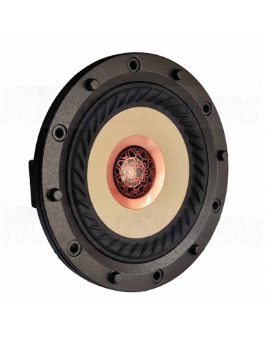 Tang band W4-2315  Coaxial 4" TB bamboo 4 ohm