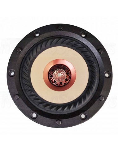 Tang band W4-2315  Coaxial 4" TB bamboo 4 ohm