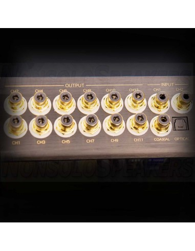 Phoenix Gold ZQDSP12 – 12-Channel High End Digital Signal Processor