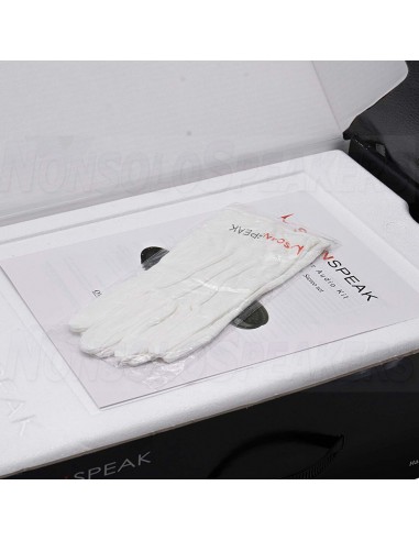 Scan Speak 820013 - Kit Car Audio  2 way + Crossover