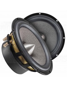BRAX ML 6P 16cm/6,5 inch Mid bass woofer with Phase Plug Pair