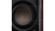 HiVi Swans D300 hifi Stereo Active Bluetooth 5.0 Bookshelf Speakers