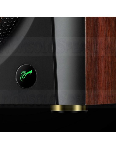 HiVi Swans D300 hifi Stereo Active Bluetooth 5.0 Bookshelf Speakers
