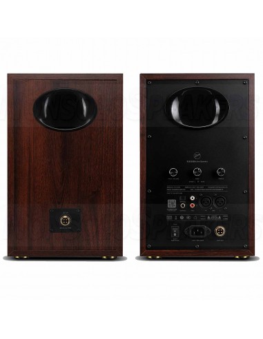 HiVi Swans D300 hifi Stereo Active Bluetooth 5.0 Bookshelf Speakers