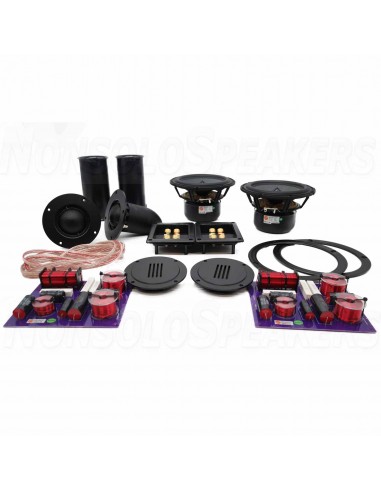 HiVi Swans DIY3.1-A black DIY speaker kit pair