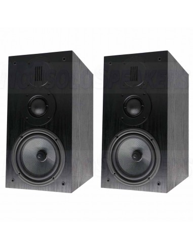 HiVi Swans DIY3.1-A black DIY speaker kit pair