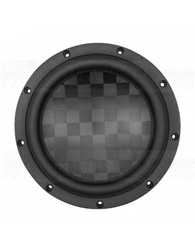 SB Acoustics Satori WO24TX-4 Textreme 9,5" woofer