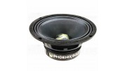 Phoenix Gold ZPR84 x8 midrange + ZPROR25T x2 tweeter