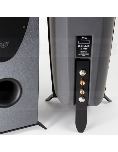 Rega AYA foorstanding speakers pair