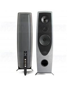 Rega AYA foorstanding speakers pair 2