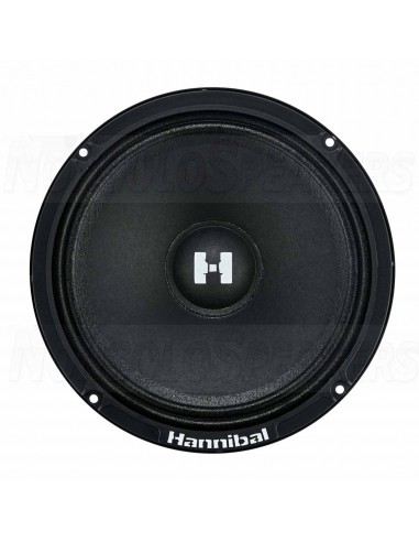 Deaf Bonce Hannibal HM-6E+ Midrange 165mm pair
