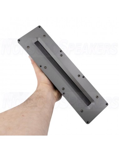 Fountek NeoPro10i Ribbon Tweeter Grey