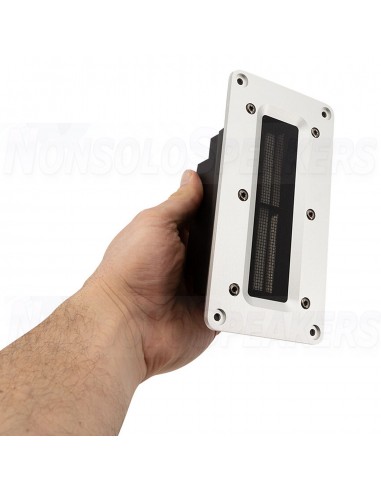 Fountek NeoCD2.0 Silver Ribbon Tweeter