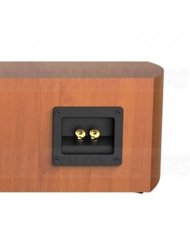 Cerwin Vega LA24C 4" 2-WAY PASSIVE CENTRAL CHANNEL