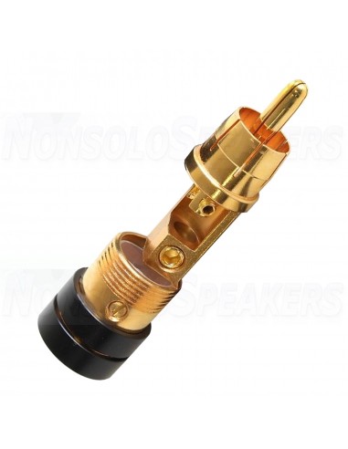 30891 GT - Connector RCA Ramm Audio (pair)