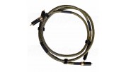 RAMM AUDIO ELITE 8 RCA Cables OCC Copper Cryo Gold Plated 1m (Pair)