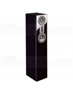Audaphon Angara 2 floorstanding loudspeakers Bausatz mit High-End-Weiche