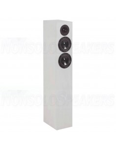 Scan Speak CT 304 floorstanding loudspeaker Kit with high-end crossover