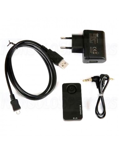 Domestic active subwoofer DLS Flatsub Stereo One Black