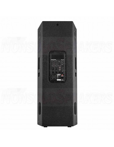 Cerwin-Vega  CVXL-215-NA Double 15" 3-way speaker