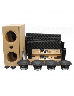 CSS Criton 2TD MTM Speaker Kit with LD22 2