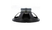 Visaton W 300 - 8 12" Woofer 8 Ohm