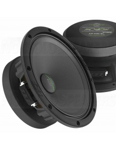 Deaf bonce Sylvester Rocky VI Speakers 8" + amplifier 2
