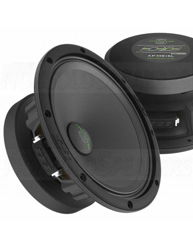 Deaf Bonce Sylvester 8 kit PLUS 6x8", 2xTW + 4 CH Amp