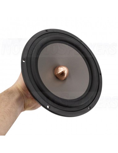 SEAS Excel W22NX001 - E0077-08 Woofer 220 mm