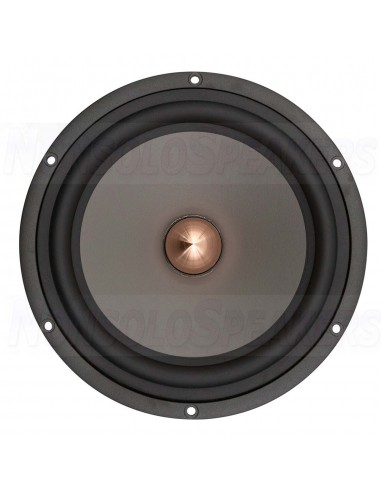 SEAS Excel W22NX001 - E0077-08 Woofer 220 mm