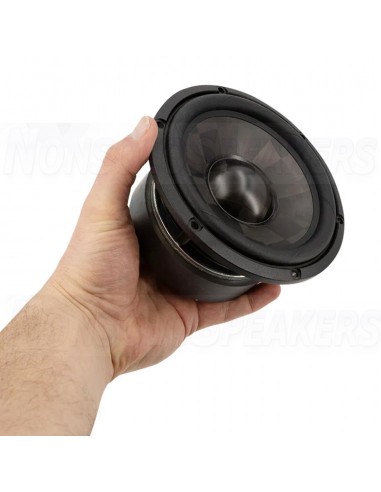 SEAS TPCD W16NX005 - E0115-08 Bass-midwoofer
