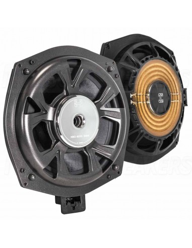 Black Hydra HBO BMW speakers system